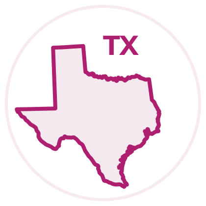 State Outline of Texas