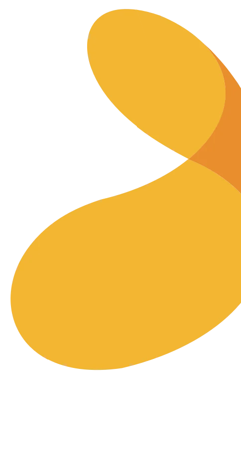 npac-background-yellow-right